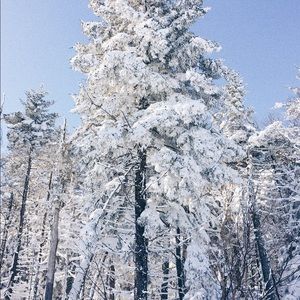 Meet your Posher, Gretchen